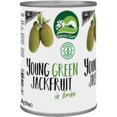 Jackfruit młody w kawałkach i zalewie solnej 565g